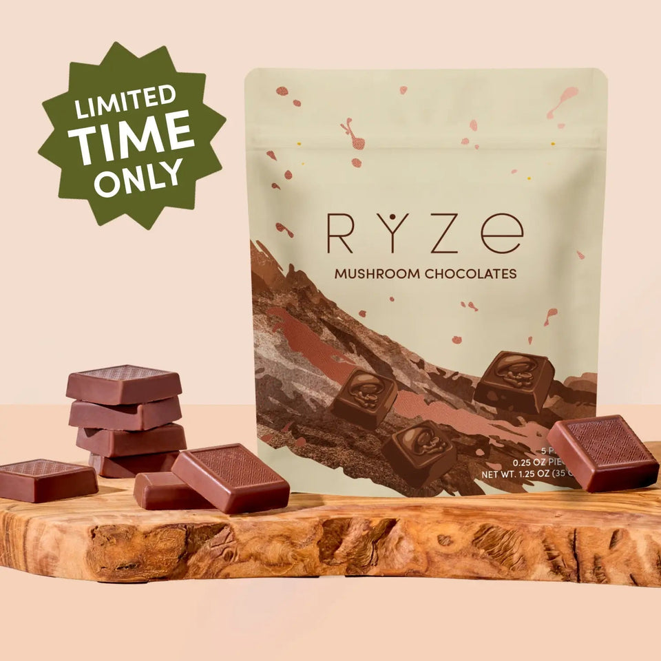 Mushroom Chocolates Rye (15 pieces) - Clean Mushroom Set